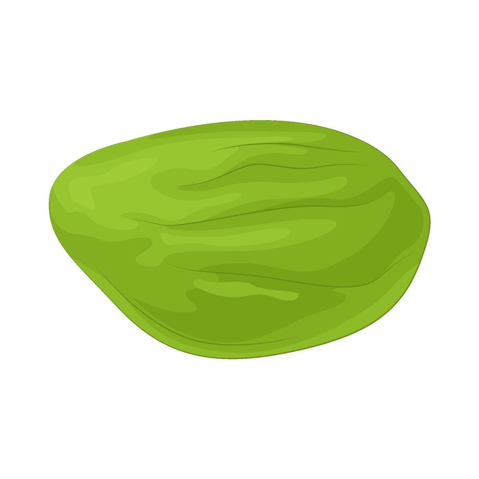 Illustration of vegetable petai vector