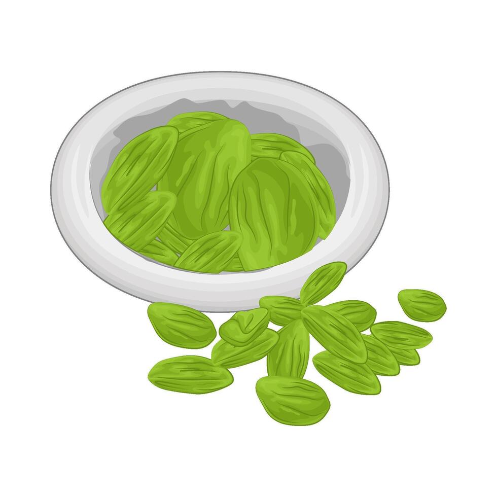 Illustration of vegetable petai vector
