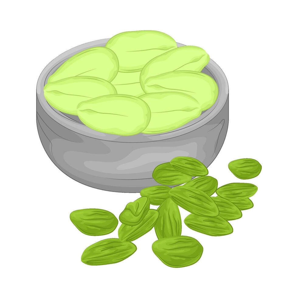 Illustration of vegetable petai vector