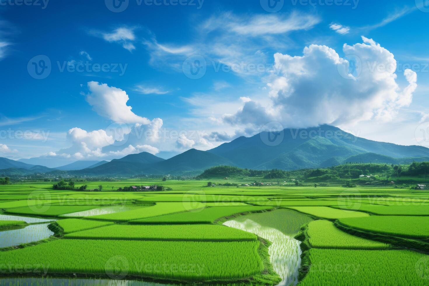 AI generated A serene view of lush green paddy fields stretching into the horizon. Generative AI photo