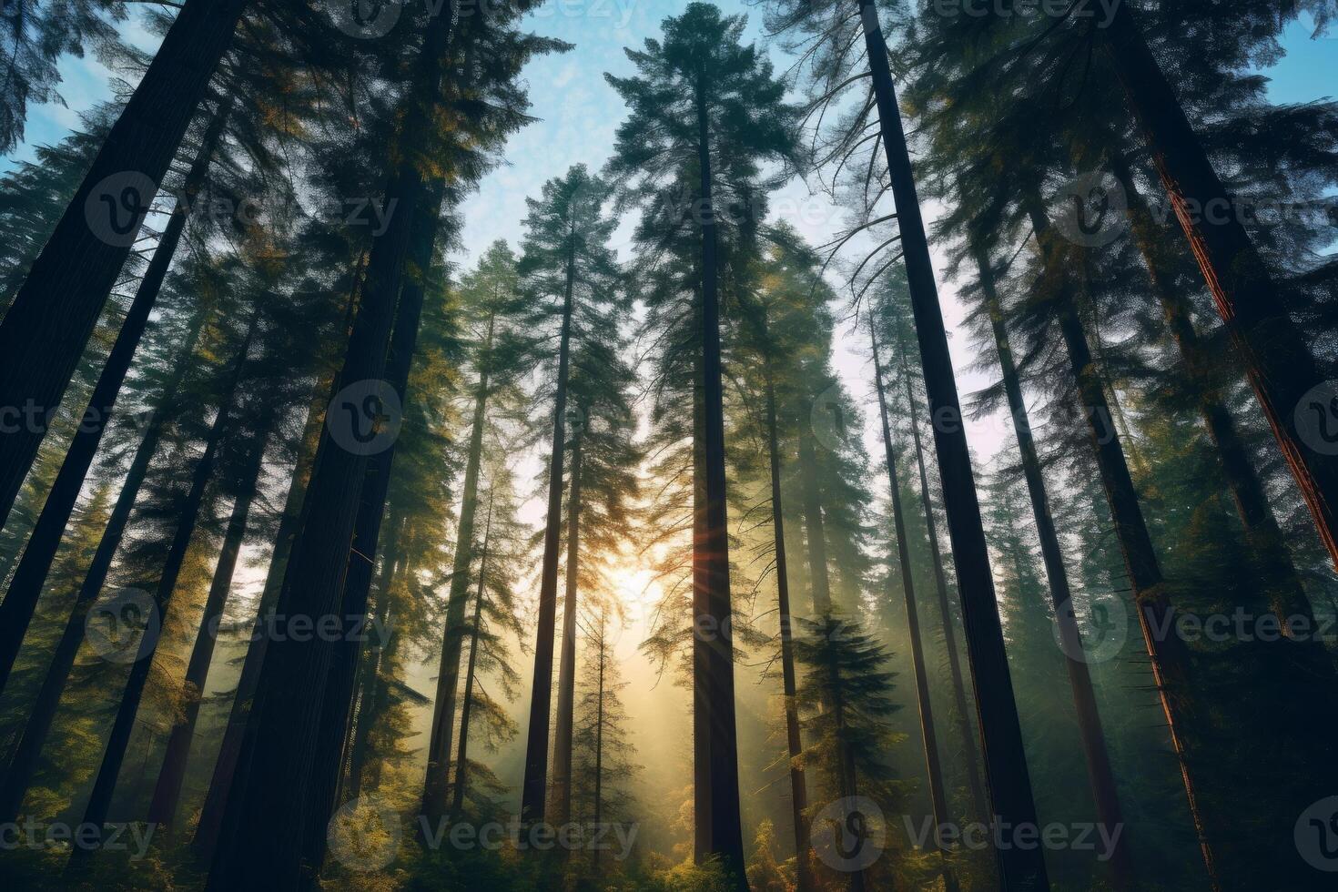 AI generated Towering trees framing a picturesque forest panorama. Generative AI photo