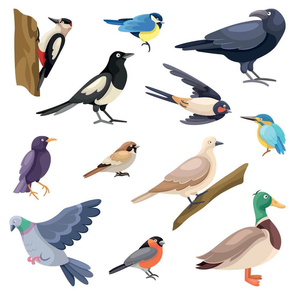 Set of cartoon city birds. Flat illustration collection vector