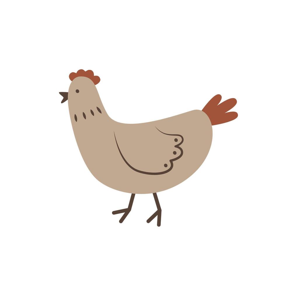 linda dibujos animados pollo en garabatear estilo. granja aves de corral. gracioso Doméstico animal. vector