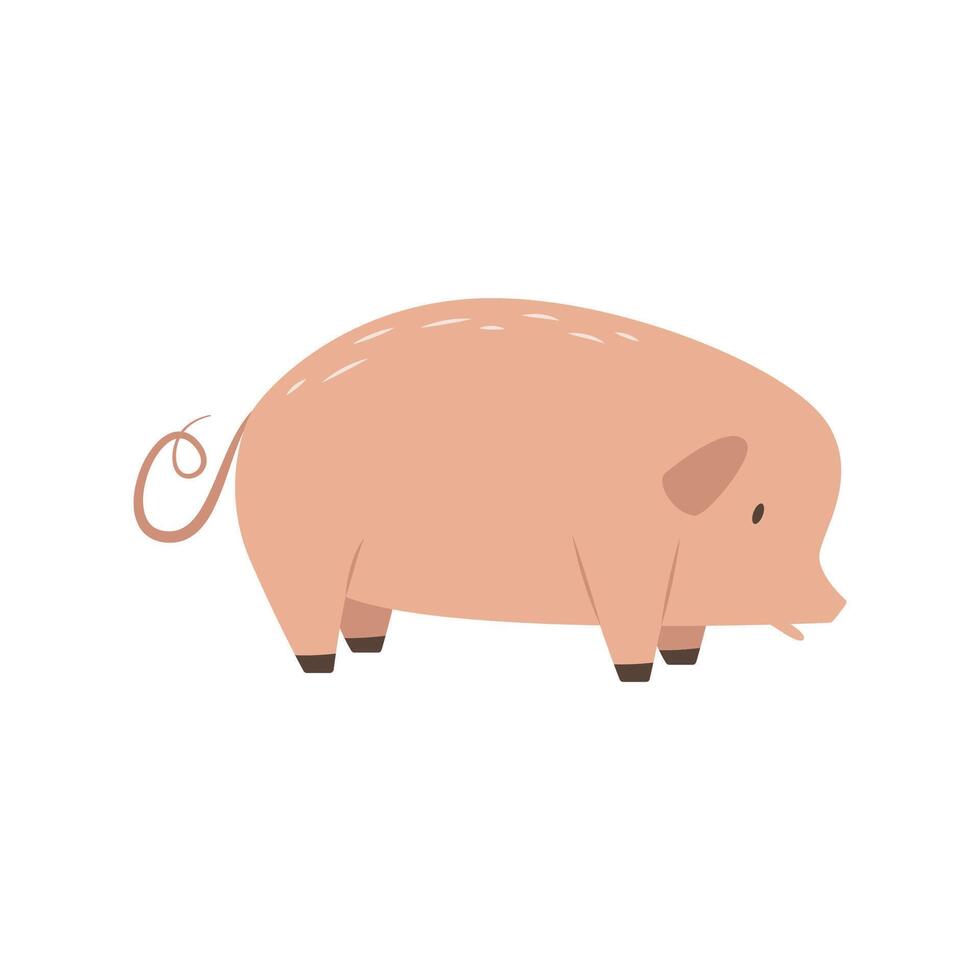 Cute cartoon pig. Traditional farm animal. Meat livestock. vector