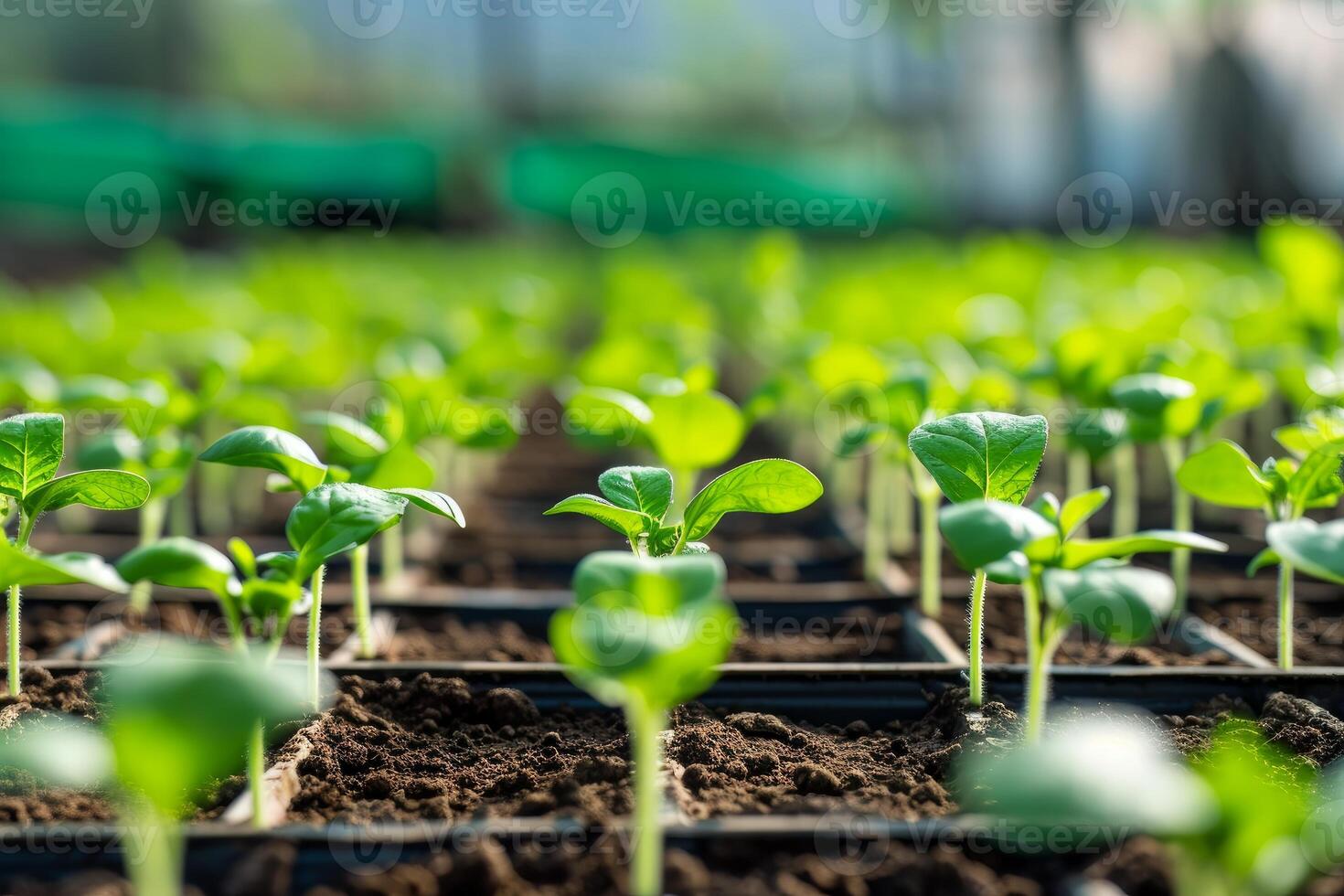 AI generated Efficient Agricultural technologies. Generate Ai photo
