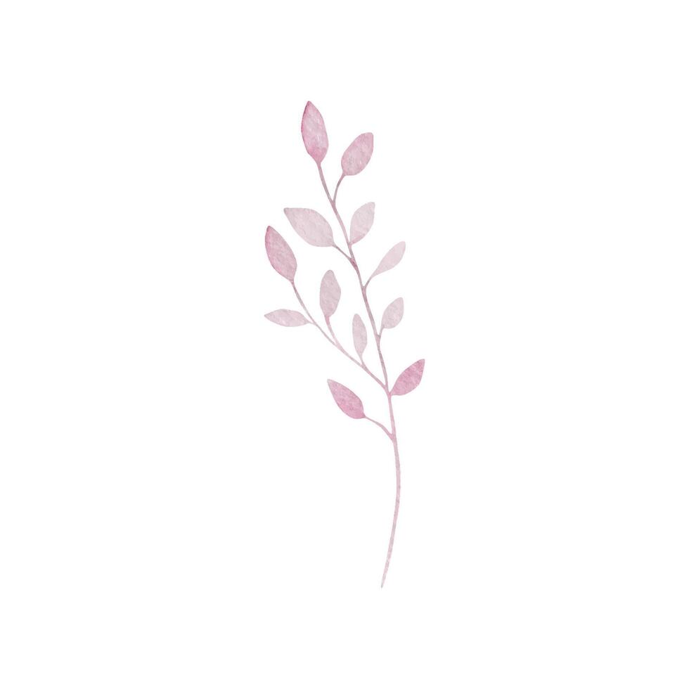 Light pink watercolor branch with leaves vector