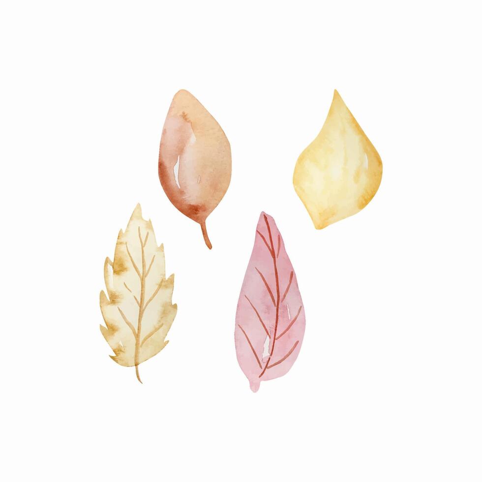 Watercolor set tender leaves vector