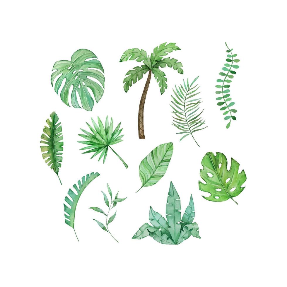 Watercolor tropical leaves set vector