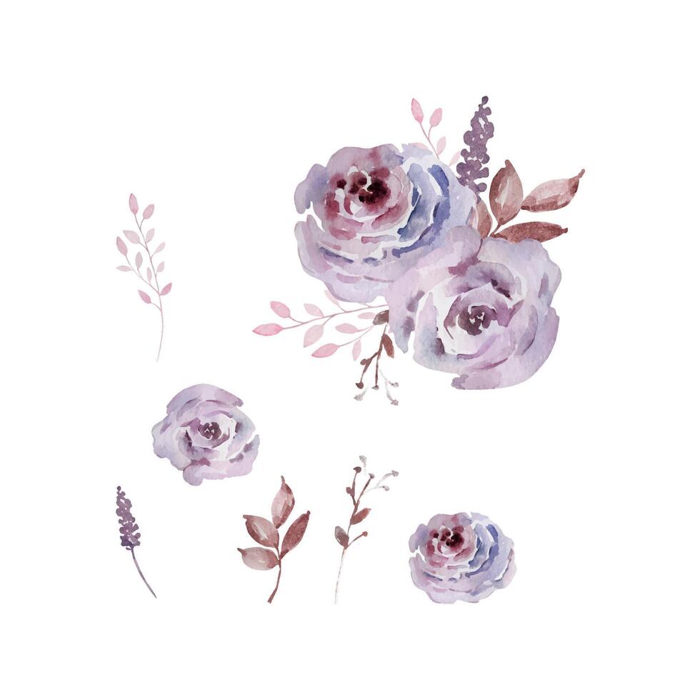 Watercolor set of bouquets dark roses vector
