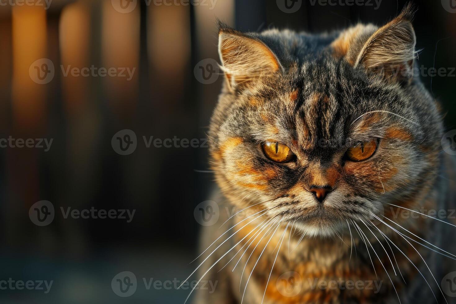 AI generated Angry cat. Generate Ai photo