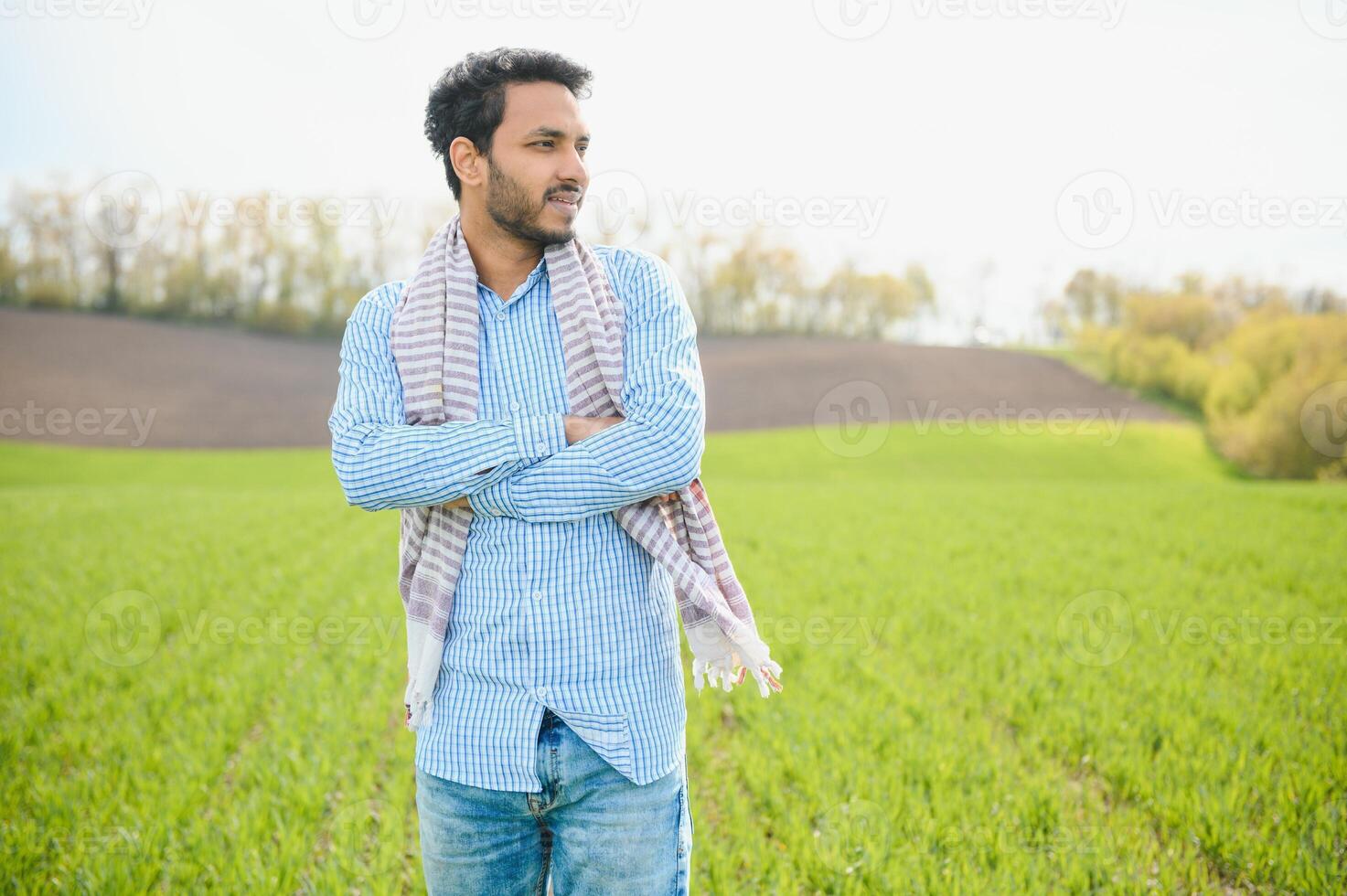 Indian farmer in his Wheat field photo