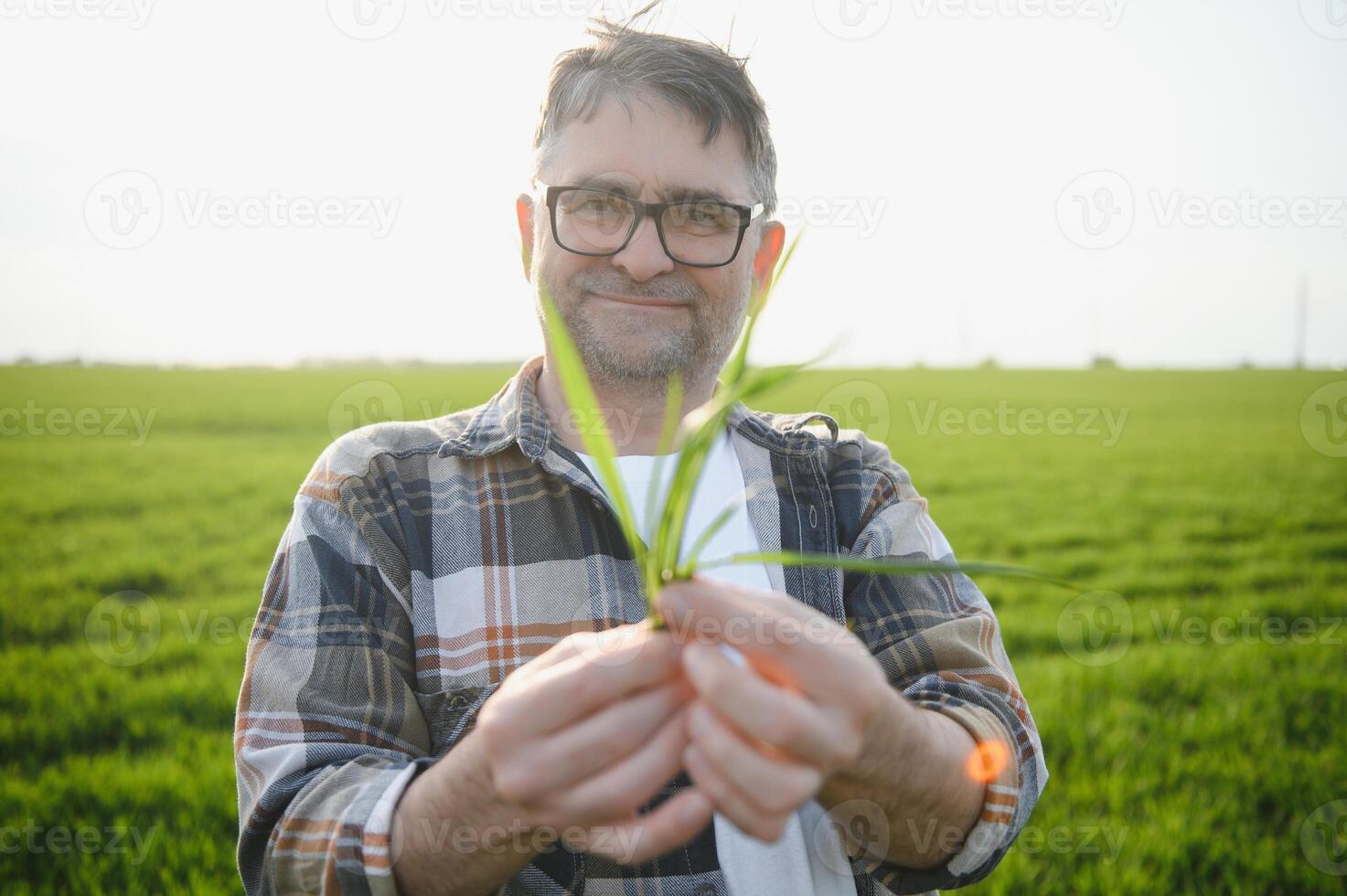 Portrait of senior farmer standing in green wheat field. photo