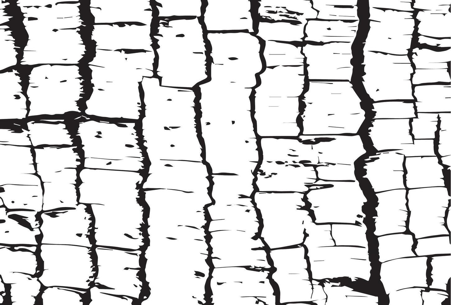 black and white birch bark grunge texture background. vector