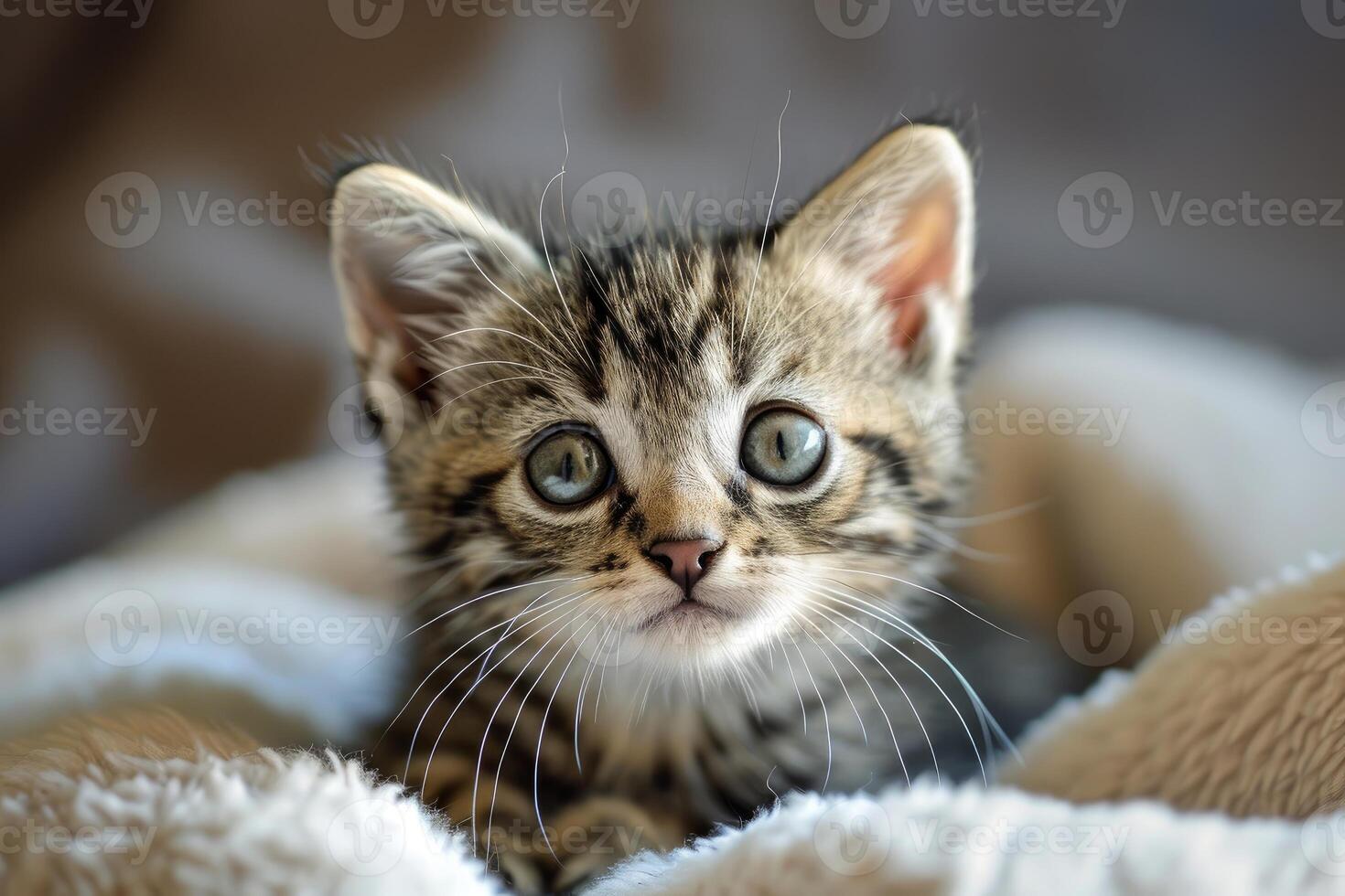 ai generado adorable linda gatito. generar ai foto