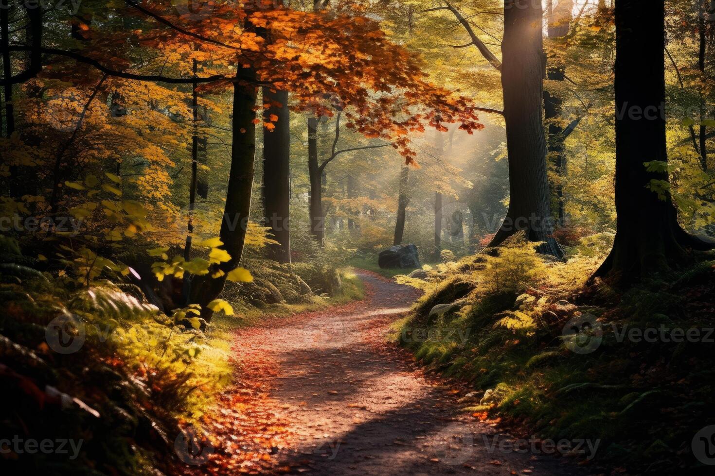 AI generated Autumn leaves on a forest path with dappled sunlight. Generative AI photo