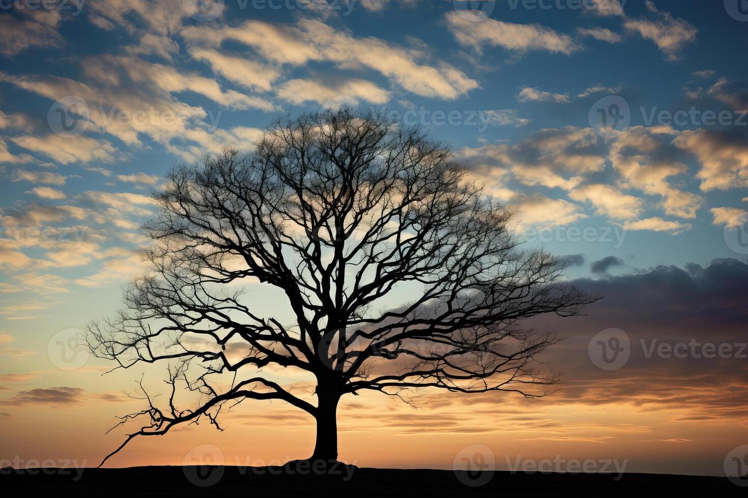 AI generated The silhouette of a tree against the afternoon sky. Generative AI photo