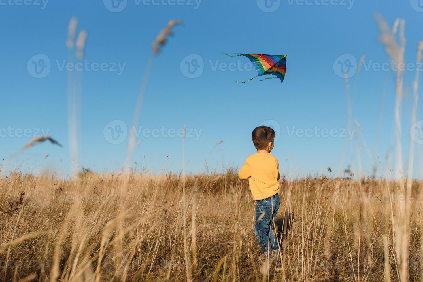 Little boy playing with kite on meadow. Childhood concept photo