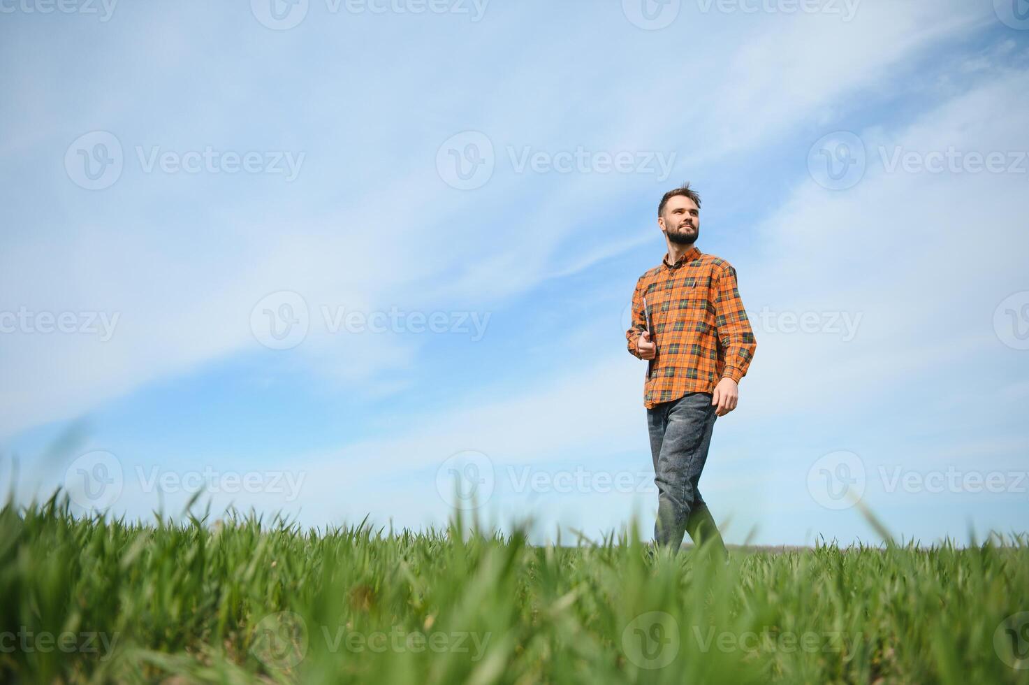 un joven granjero inspecciona el calidad de trigo coles en el campo. el concepto de agricultura foto