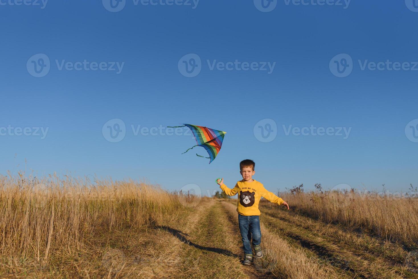 contento niño jugando con un cometa mientras corriendo en prado, atardecer, en verano día. gracioso hora con familia. pequeño chico lanzamiento un cometa. foto