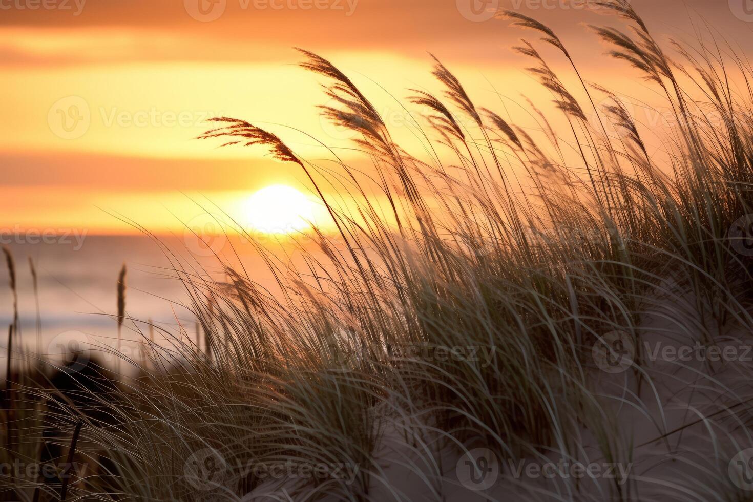 ai generado dorado luz de sol en playa césped y dunas. generativo ai foto