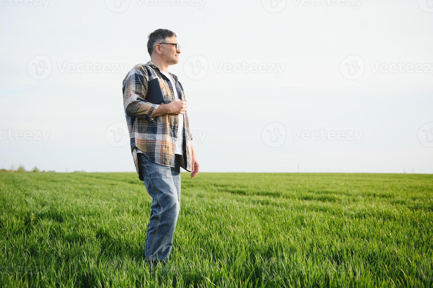 A young farmer inspects the quality of wheat sprouts in the field. The concept of agriculture. photo