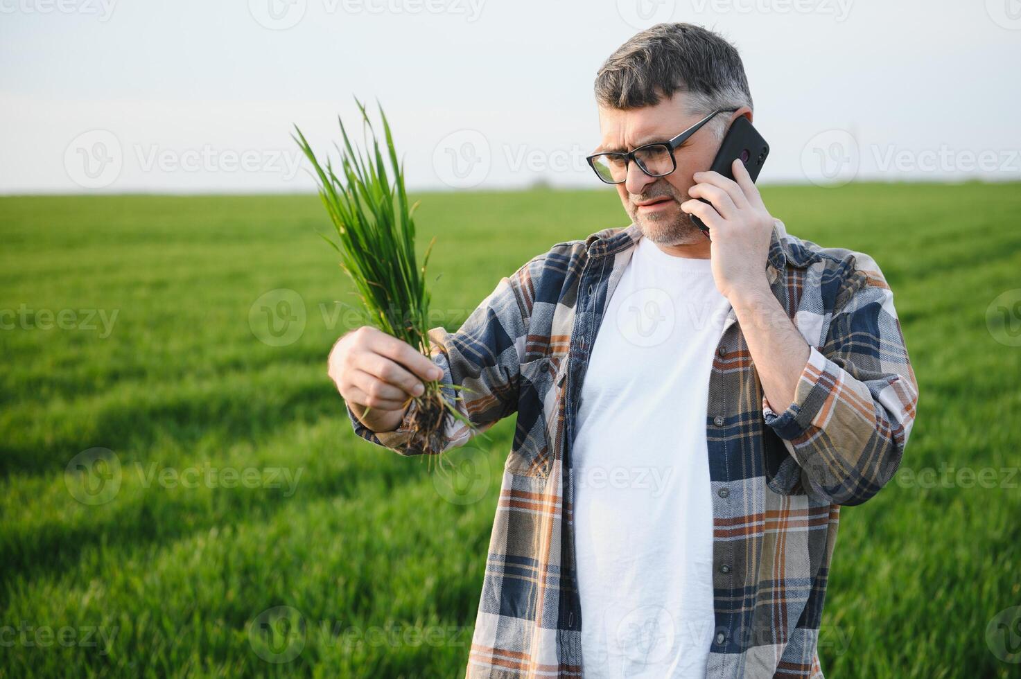 Portrait of senior farmer in wheat field photo