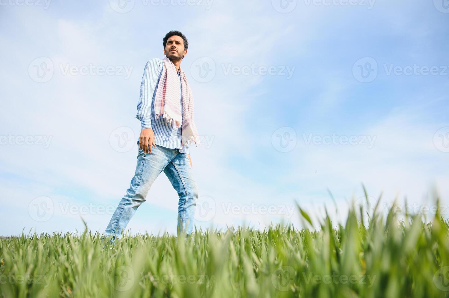 Portrait of farmer standing in a wheat field. farmer stands in green wheat field, looks, examines his crop photo