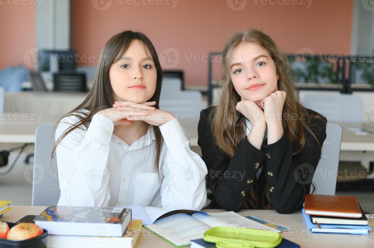 Portrait of two girls at workplace with books. School education photo