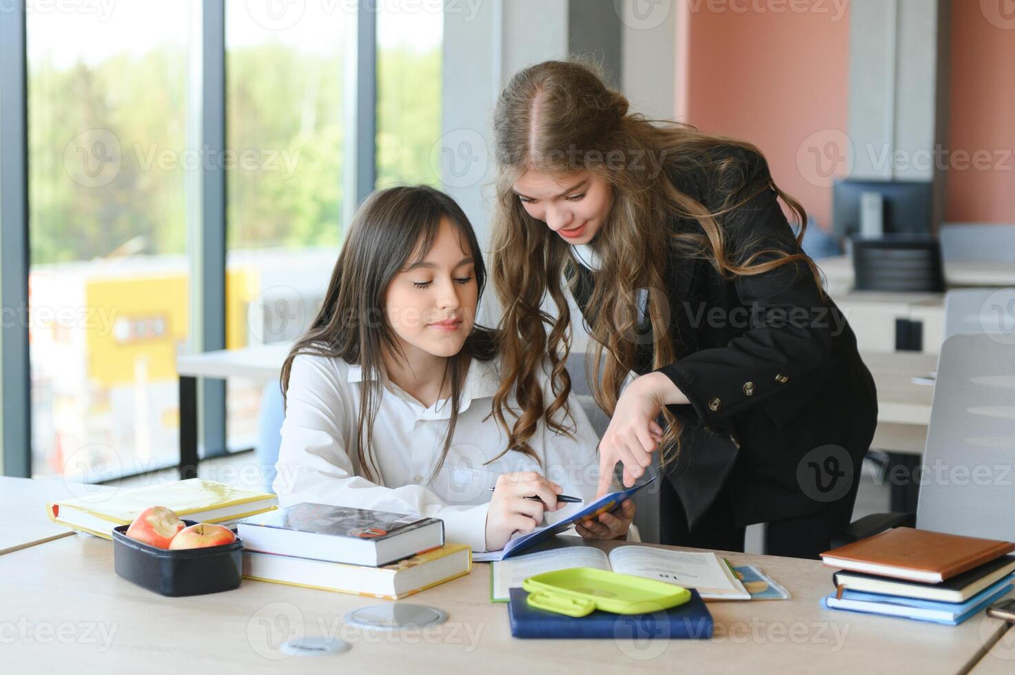 Portrait of two girls at workplace with books. School education photo