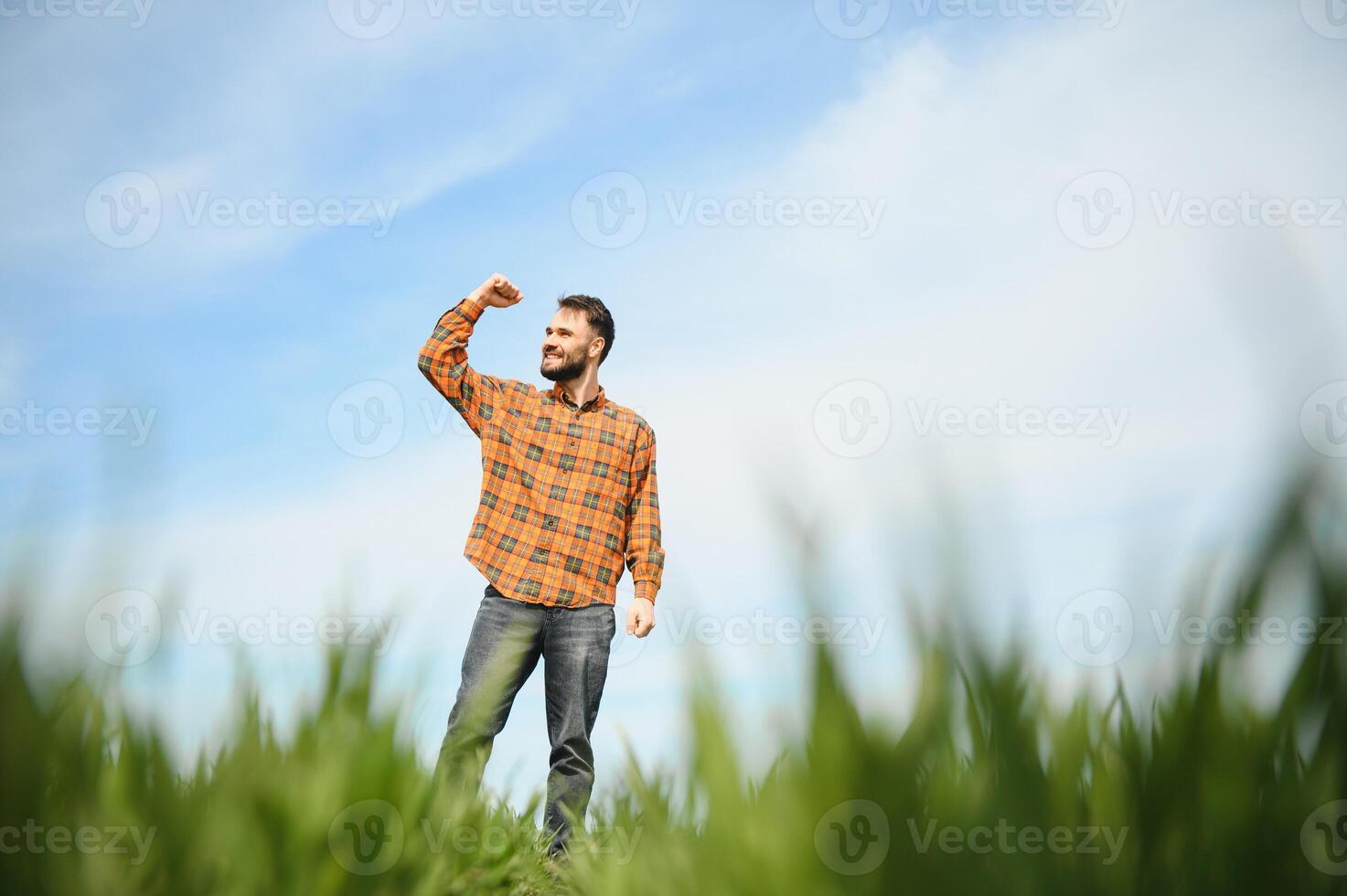 un joven granjero inspecciona el calidad de trigo coles en el campo. el concepto de agricultura. foto