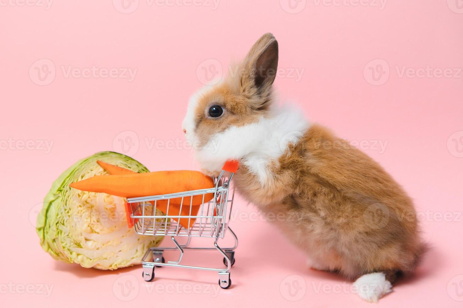 Brown cute baby rabbit standing and hold the shopping cart with baby carrots. Lovely action of young rabbit as shopping. photo