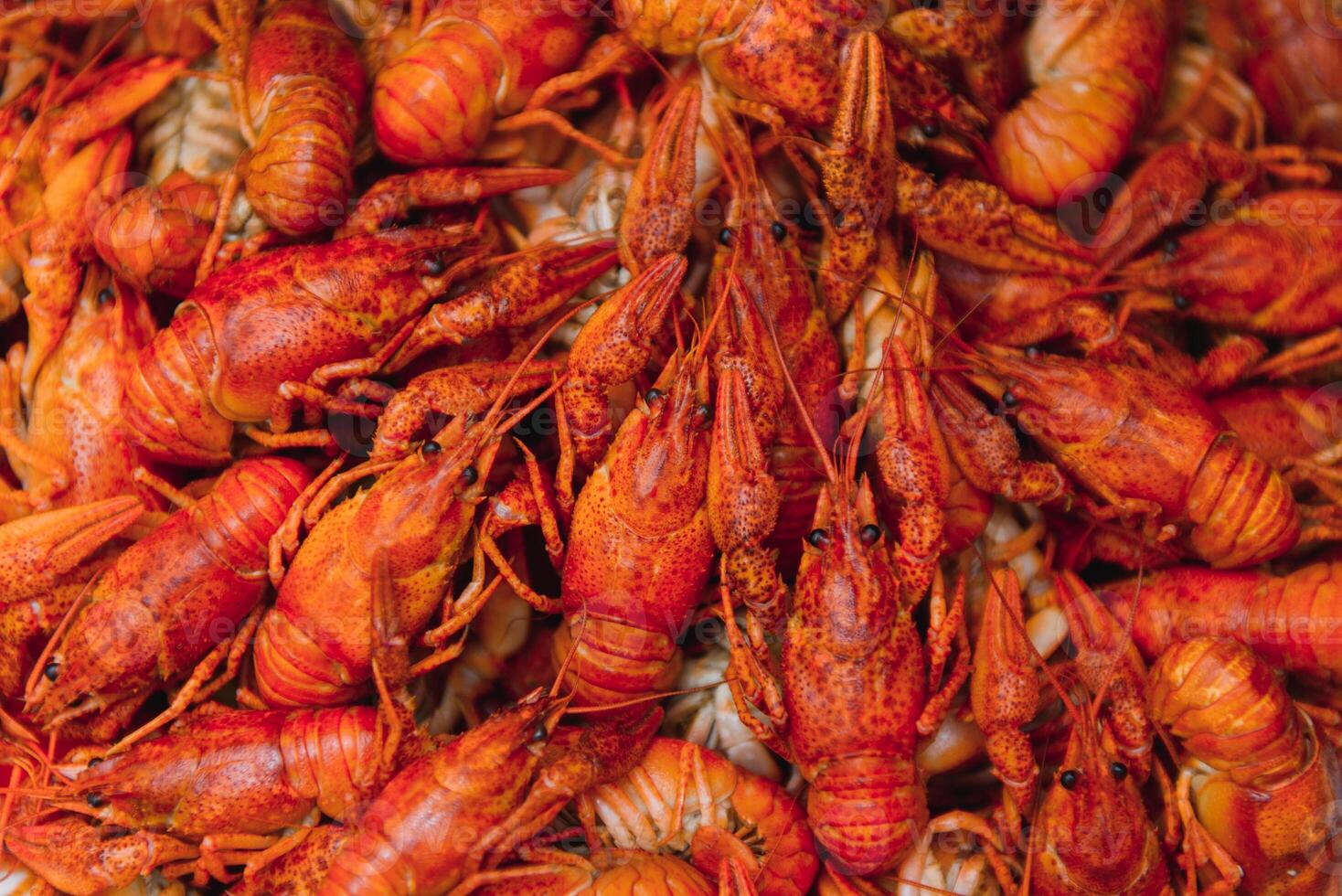 boiled crayfish on an iron plate. boiled red crayfish background for menu. top view, close up photo. a plate of cooked crayfish. Boiled crayfish, a traditional Russian dish. vintage photo processing