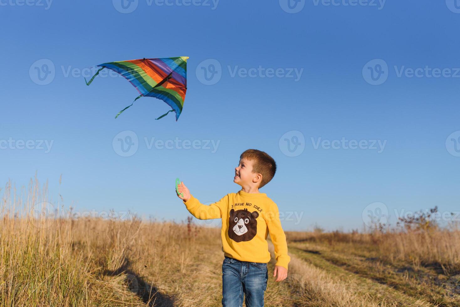 pequeño chico jugando con cometa en prado. infancia concepto foto