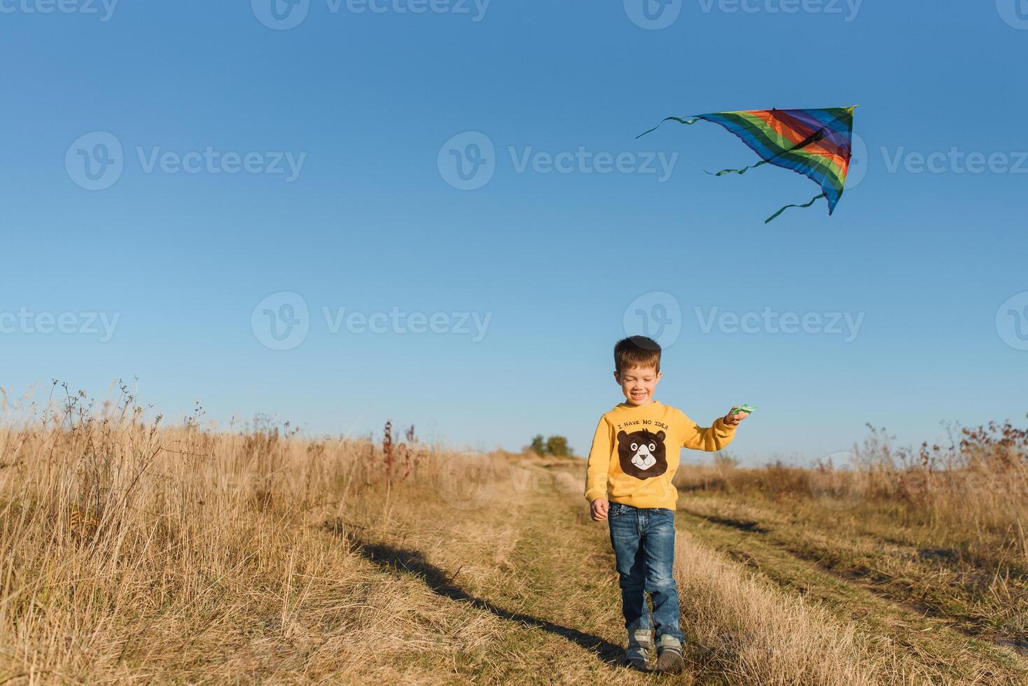 Little boy playing with kite on meadow. Childhood concept photo