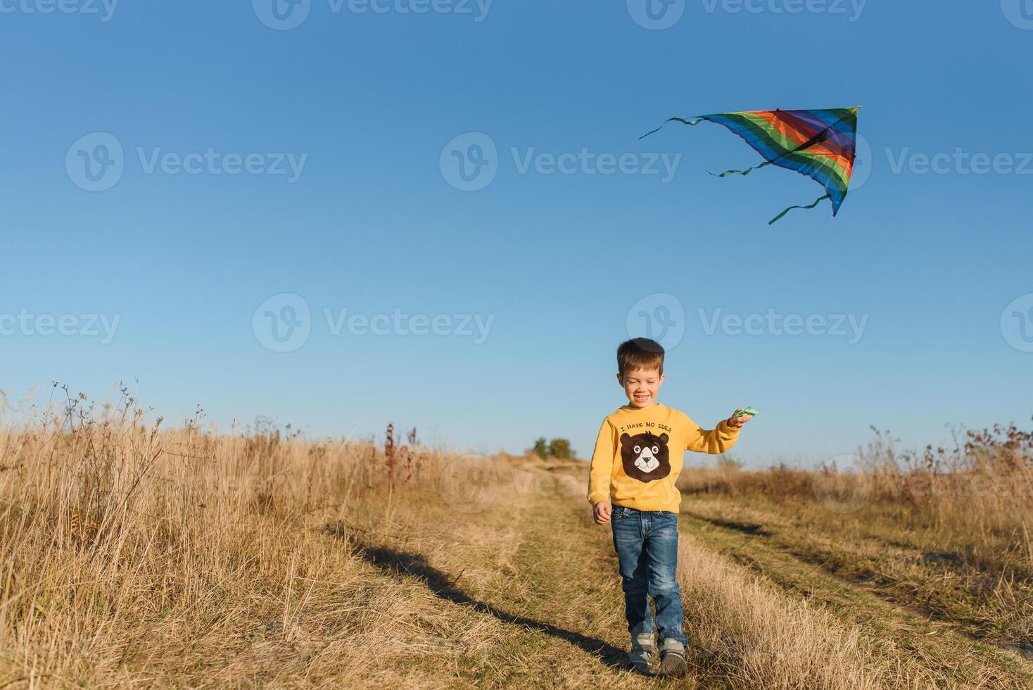 pequeño chico jugando con cometa en prado. infancia concepto foto