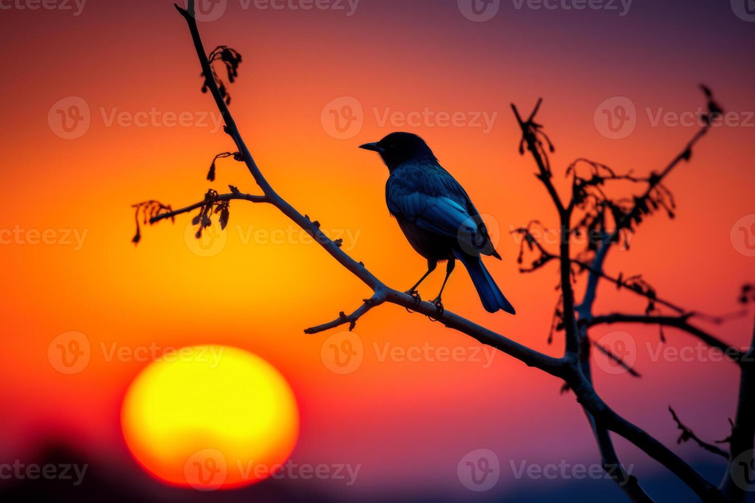 AI generated Silhouetted bird against a colorful sunset sky. Generative AI photo