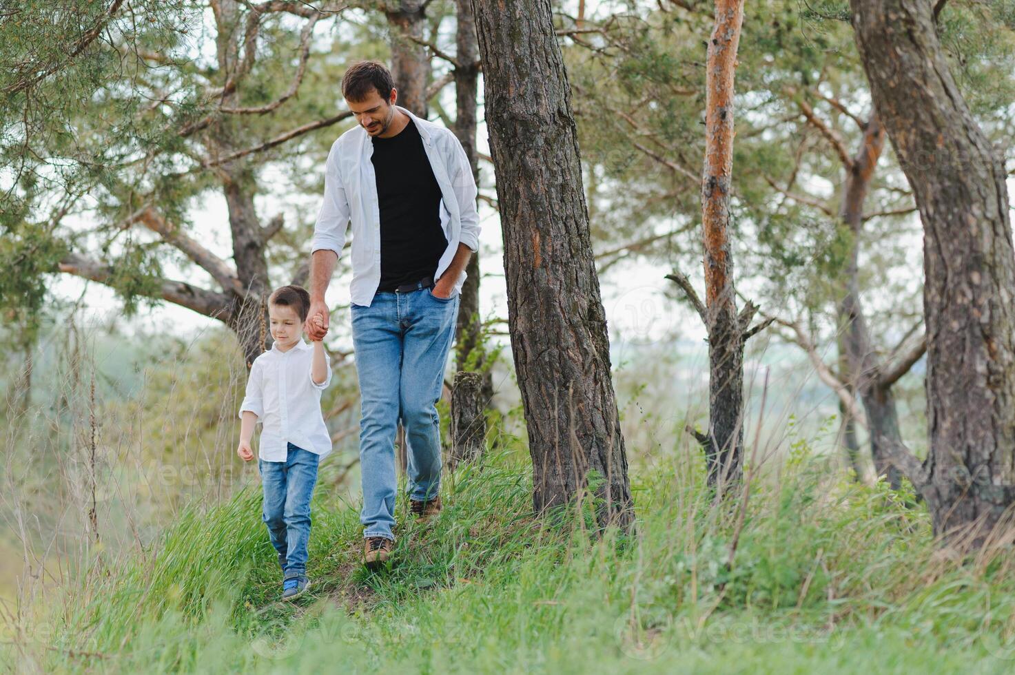 Happy father and little boy walking in summer park. adoption and people concept. photo