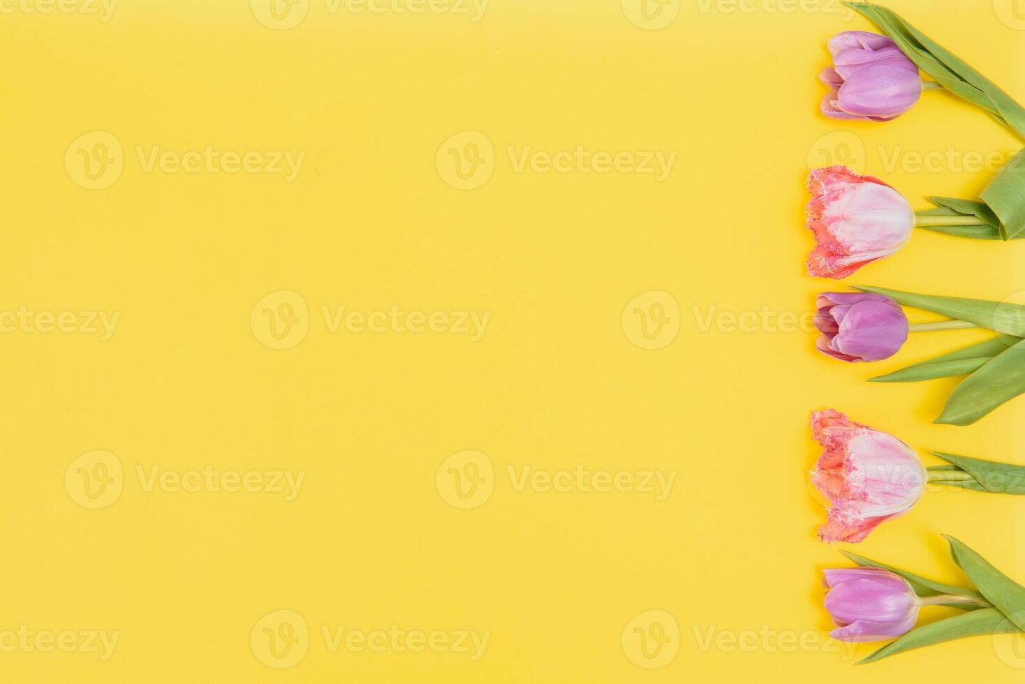 Fresh Spring Tulips Flowers Concept Woman's day Greeting Card Mother's Day Valentines Yellow Background Natural Light Selective Focus photo