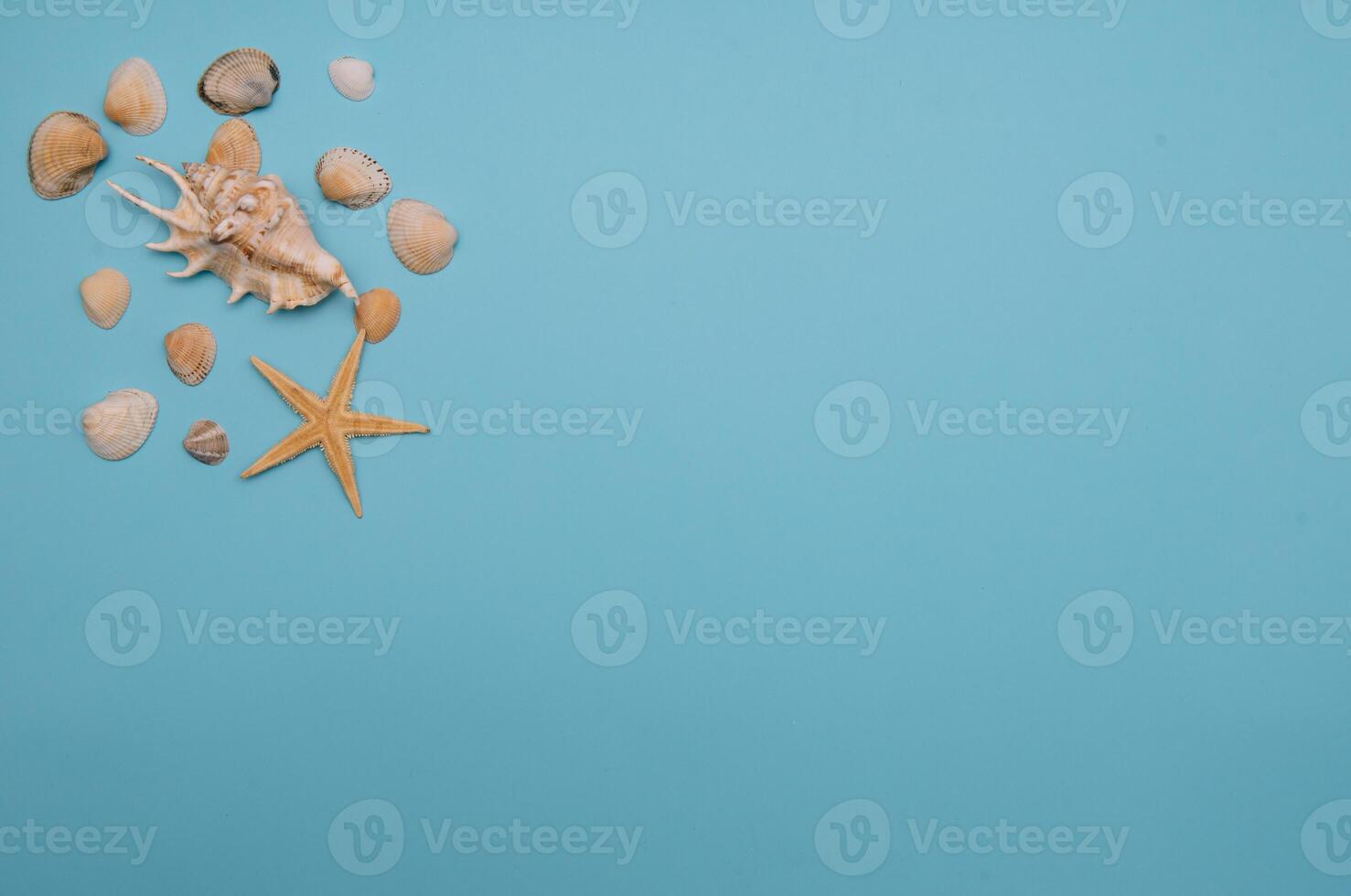 Flat lay. Top view. Frame of shells of various kinds on a blue background. Seashells and starfish on a pastel background. Vacation concept. travel concept. with copy space photo