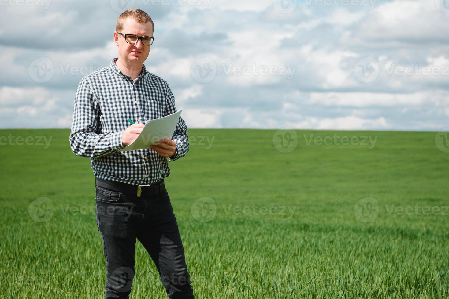 un agrónomo investiga el madurez proceso de joven trigo en el campo. agrícola negocio concepto. el granjero trabajos en un trigo campo y inspecciona el calidad de trigo coles. foto