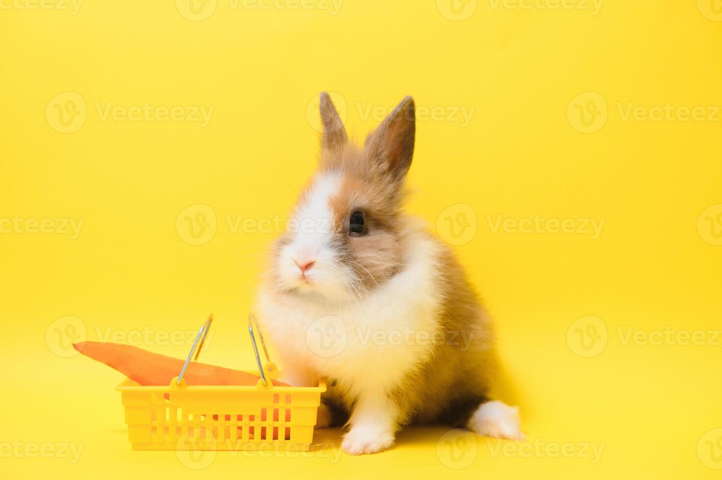 Brown cute baby rabbit standing and hold the shopping cart with baby carrots. Lovely action of young rabbit as shopping. photo