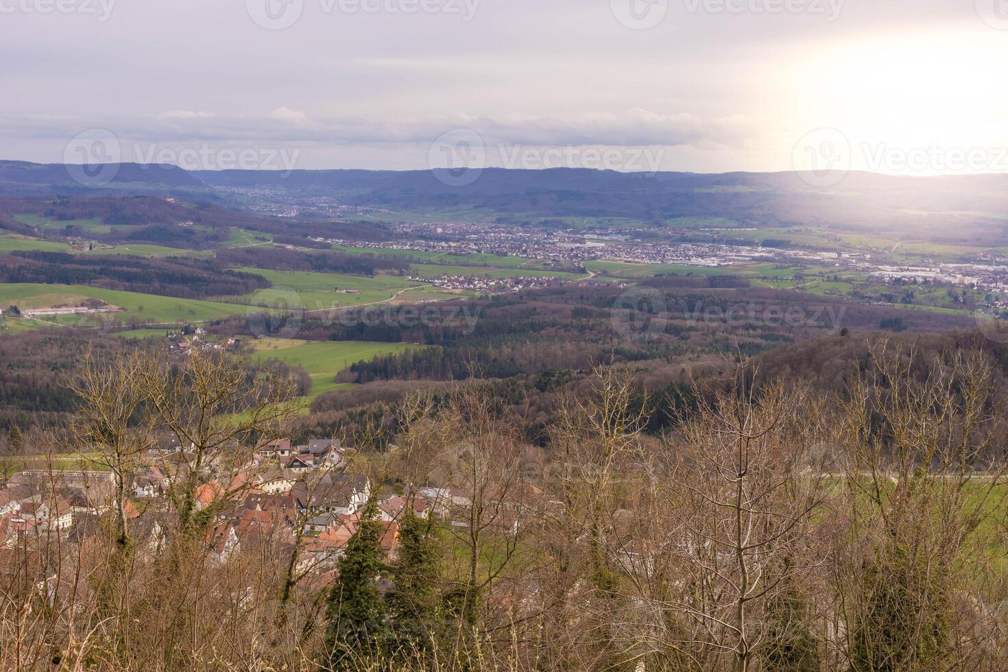 panorámico ver de el ciudad en Alemania foto