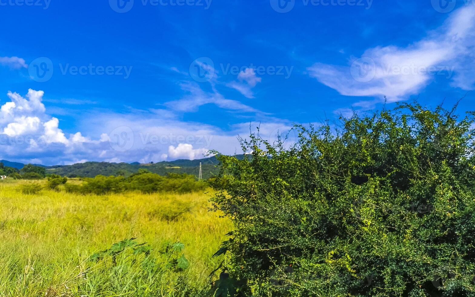 Drive past the tropical jungle mountains and countryside Mazunte Mexico. photo