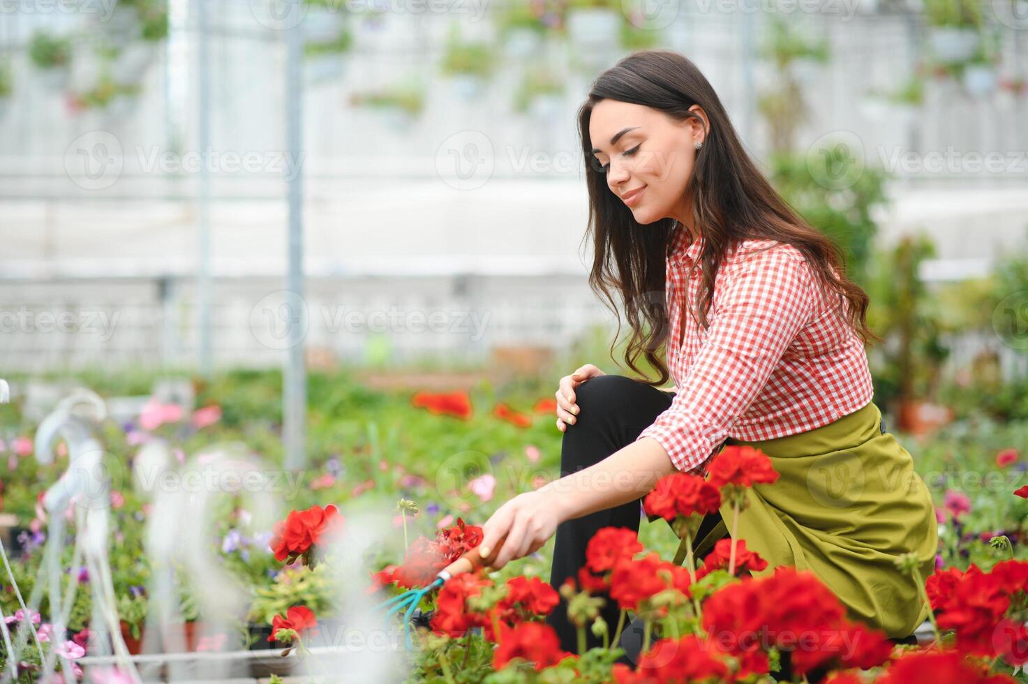 planta cuidado, creciente plantas de interior para venta. hembra florista cuidando para planta guardería con suculentas jardinería negocio, flor tienda de Al por menor Tienda concepto. jardinero laboral, irreconocible de cerca foto