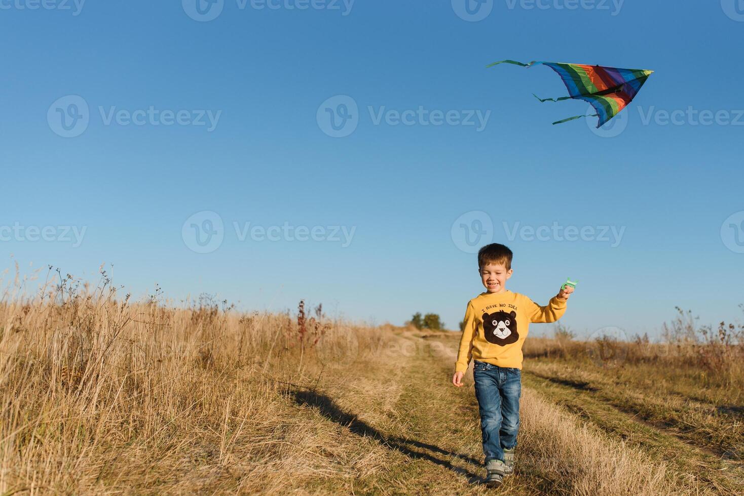 contento niño jugando con un cometa mientras corriendo en prado, atardecer, en verano día. gracioso hora con familia. pequeño chico lanzamiento un cometa. foto