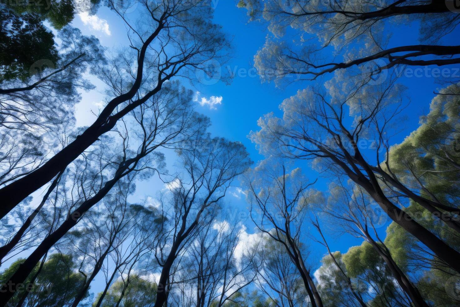 AI generated Group of trees with a blue sky in the background. Generative AI photo