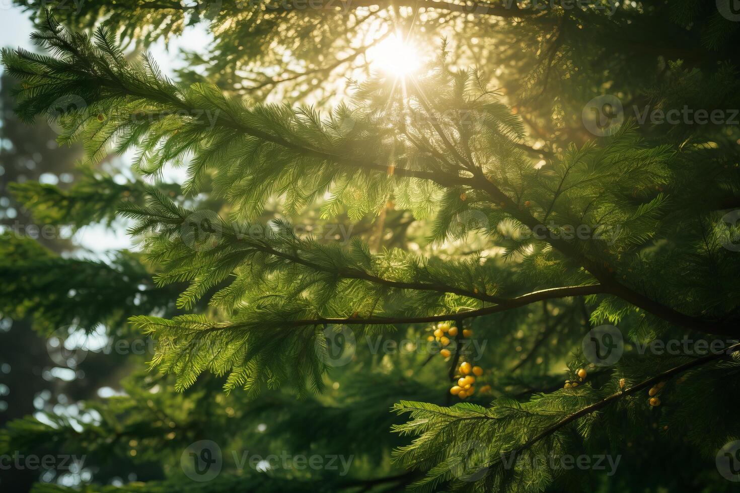 AI generated Sunlight filtering through the lush evergreen branches. Generative AI photo