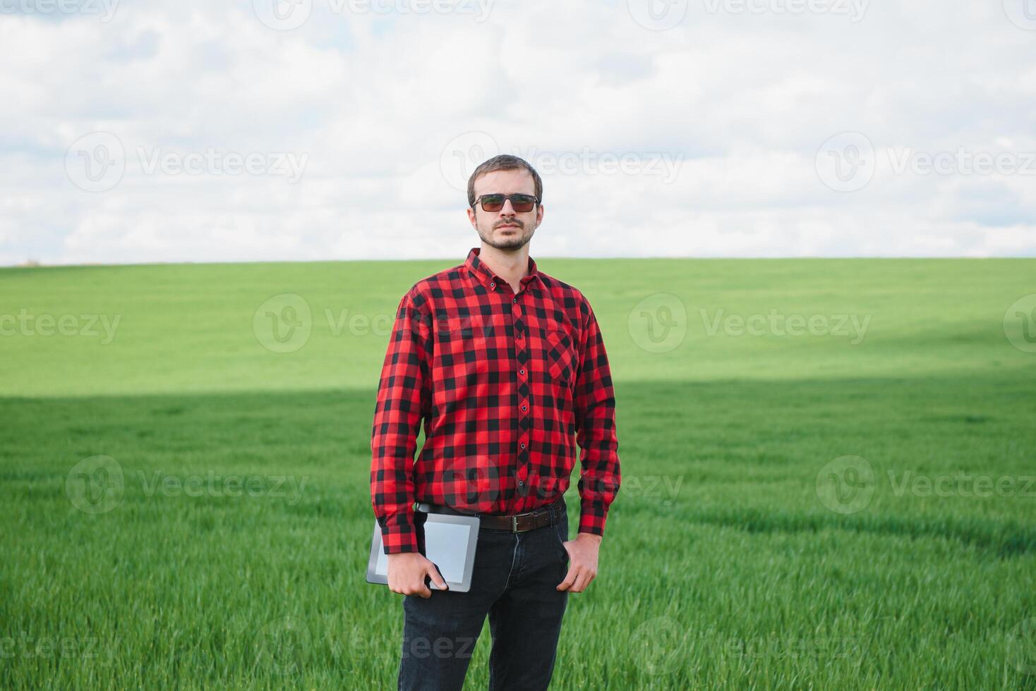 Portrait of farmer standing in young wheat field holding tablet in his hands and examining crop. photo