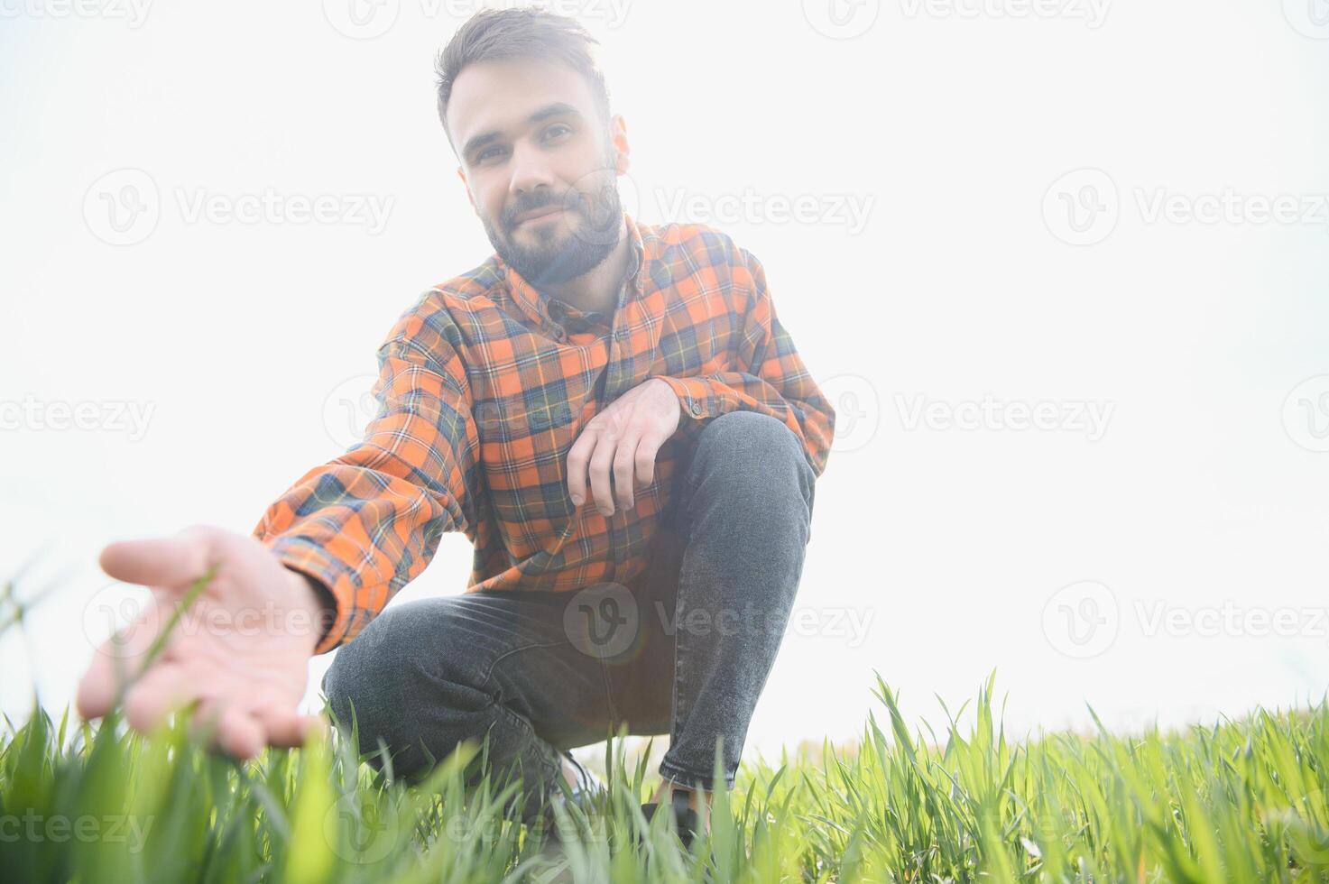 Portrait of farmer in wheat field. A handsome farmer or agronomist is working in the field photo