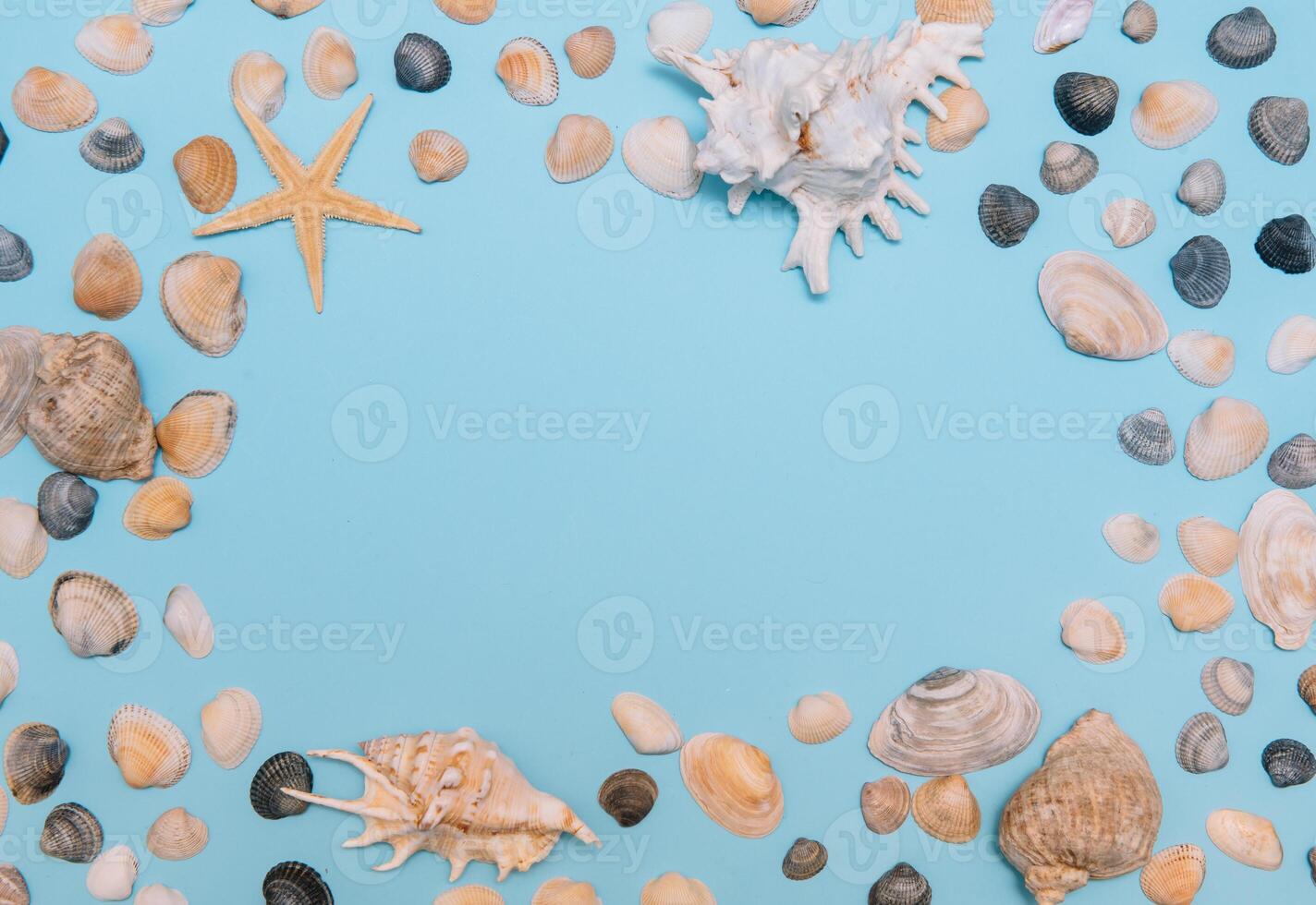 Flat lay. Top view. Frame of shells of various kinds on a blue background. Seashells and starfish on a pastel background. Vacation concept. travel concept. with copy space photo